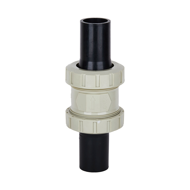 PPH H61F-10S PE Butt Welded Check Valve DN50 GB Standard
