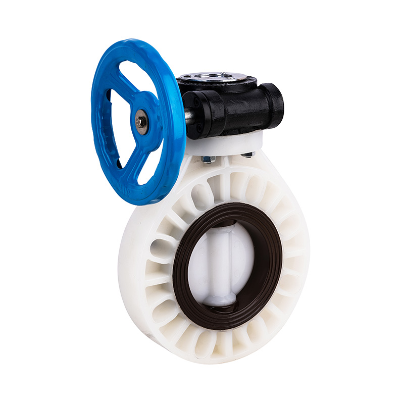 PVDF D371X-10F Worm-Gear Butterfly Valve DN40-1000 40A-1000A JIS Standard