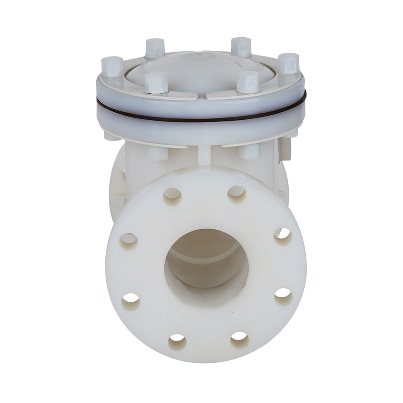 PVDF H44F-10F Injap Semak Jenis Ayunan DN15-300 GB Standard