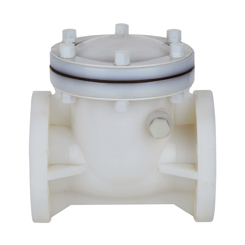 PVDF H44F-10F Injap Semak Jenis Ayunan DN15-300 1/2'-12' Standard ANSI