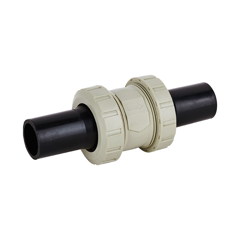 PPH H61F-10S PE Butt Welded Check Valve DN50 GB Standard