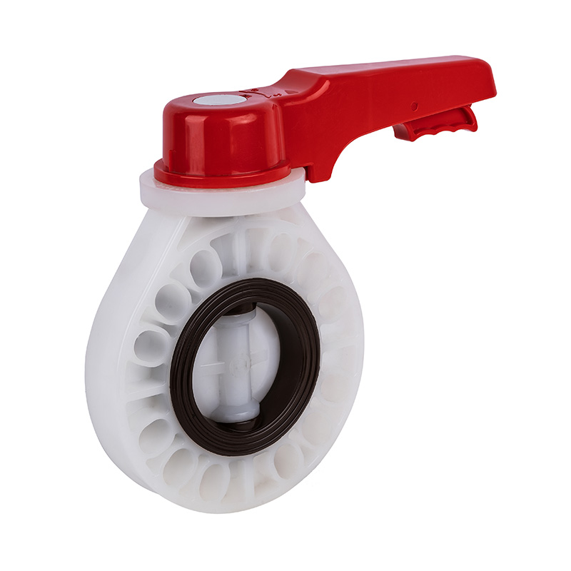 PVDF D71X-10F Pemegang Injap Rama-rama DN15-200 GB Standard